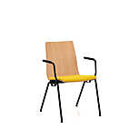 BEWISE FRAME CHAIR 4LA W